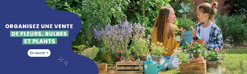 Vente de Fleurs