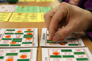 Cartes ou cartons de <span class="search-keyword">loto</span>