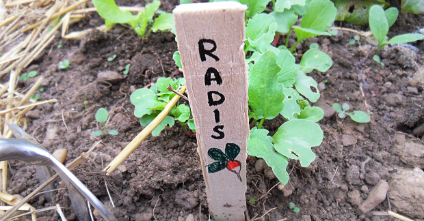 Etiquetage avec des cagettes