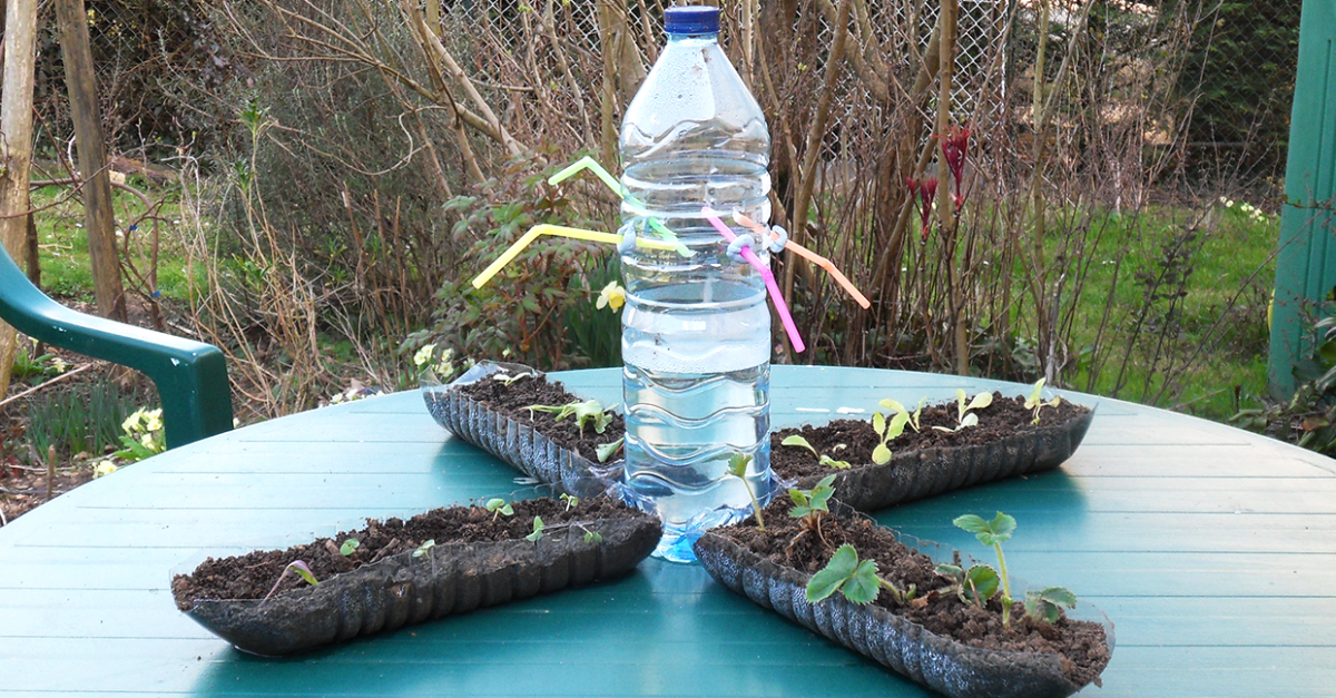 Mini jardin