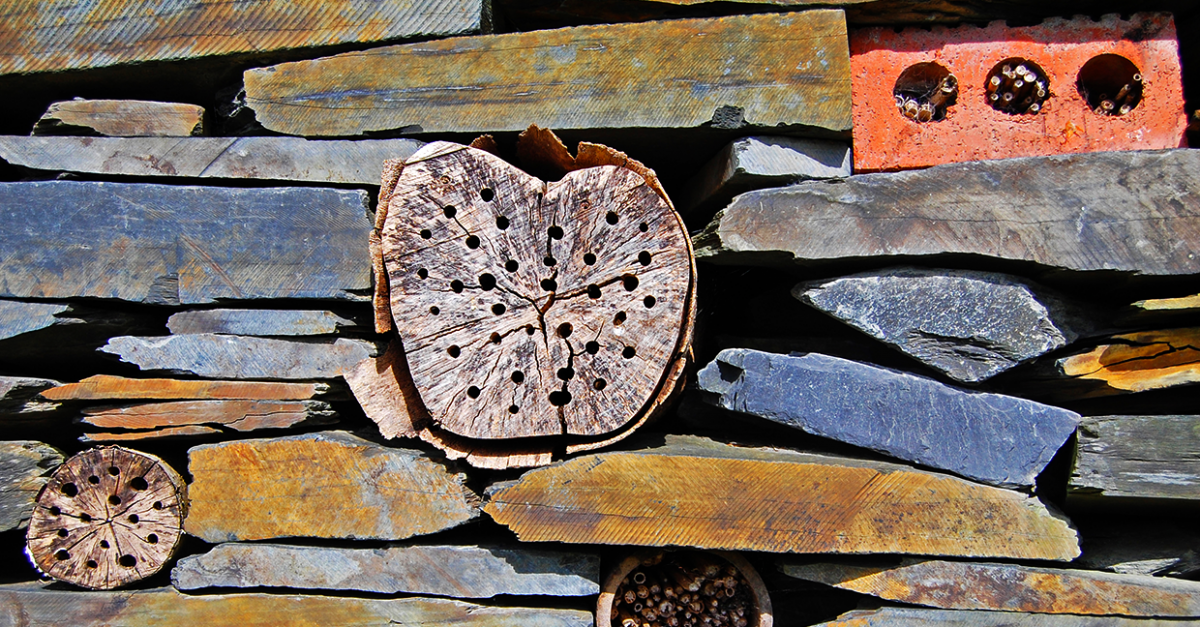 Fabrique des abris pour les pollinisateurs