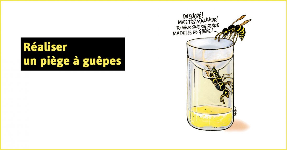 Piège à guêpes