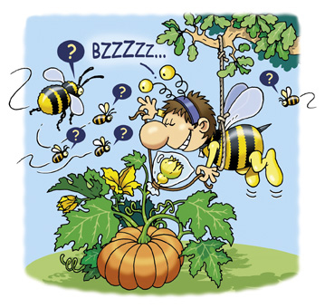 Pollinisez vous-même votre jardin