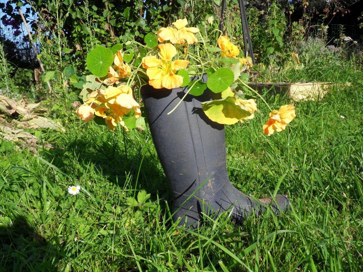 Bouturez des chaussures