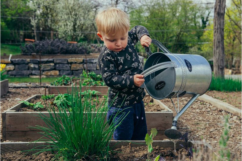 enfant dans un carré potager