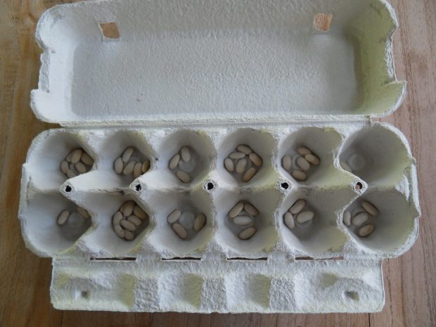 fabriquer un jeu d'awalé