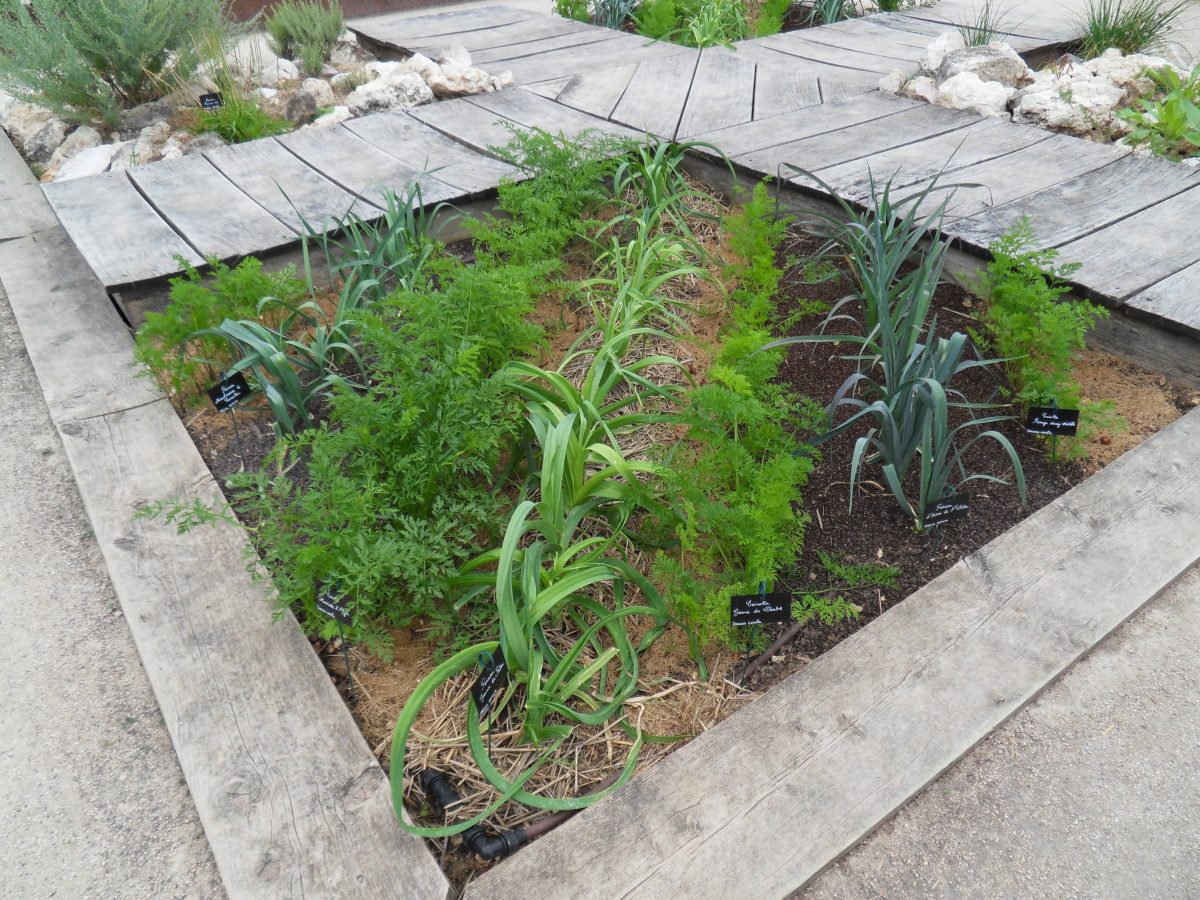 Mon potager en carré