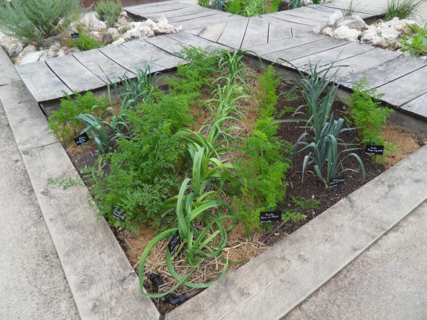 mon potager en carre