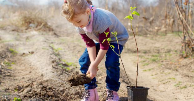 Plantation Sainte Catherine
