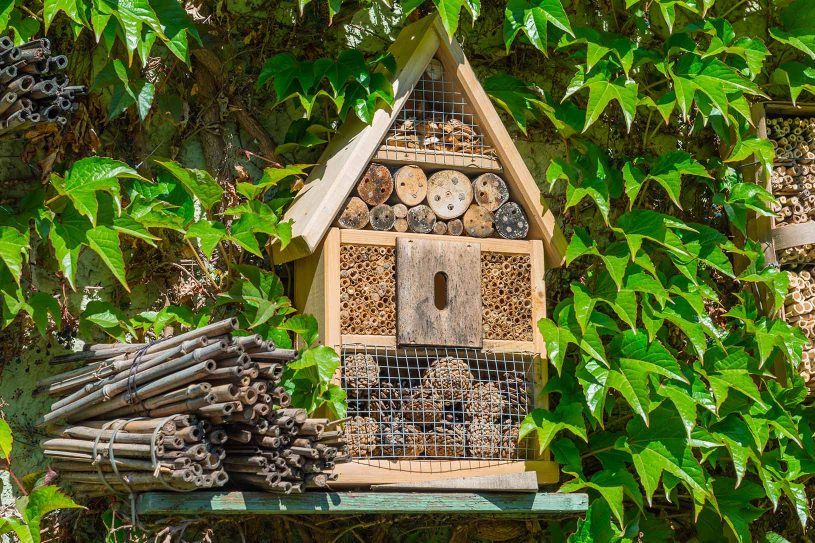 construire un hôtel pour les abeilles