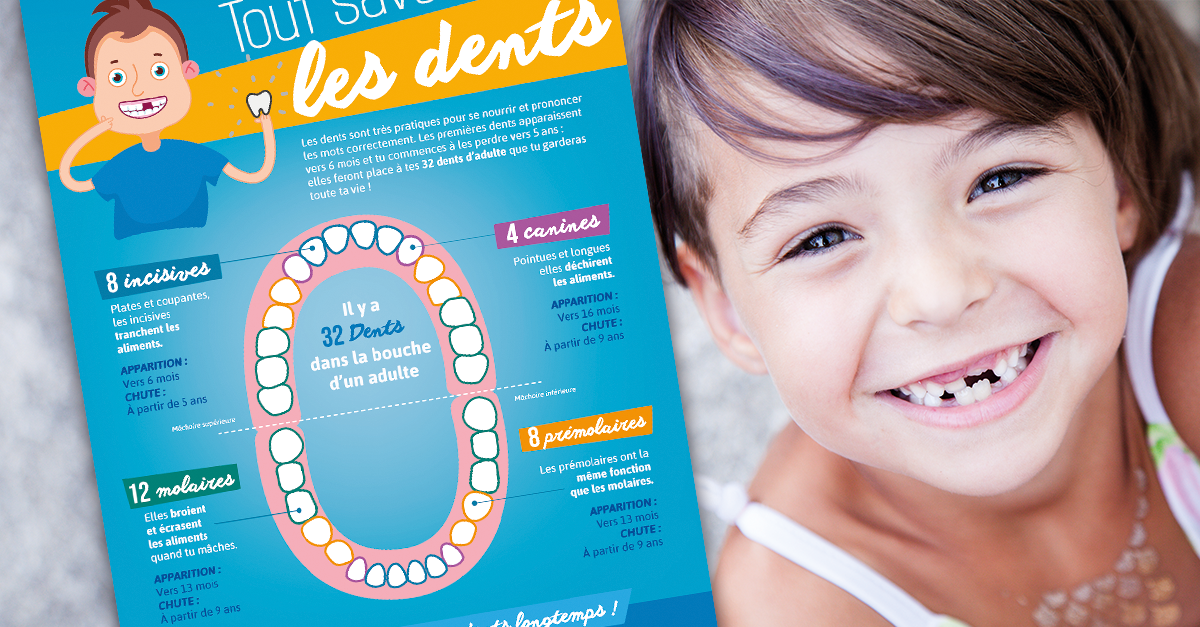 Tout savoir sur les DENTS ! [Affiche pour la classe]