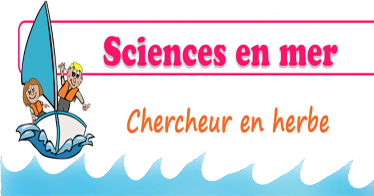 énergie, eau, sommeil, alimentation, gestion des déchets en mer