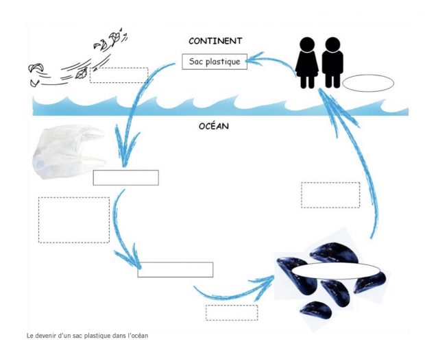 Shéma Déchets plastiques dans les océans