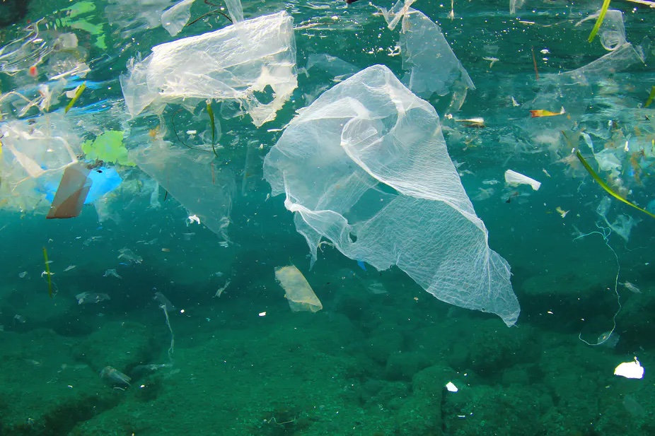 Pollution des fleuves et océans : les microplastiques