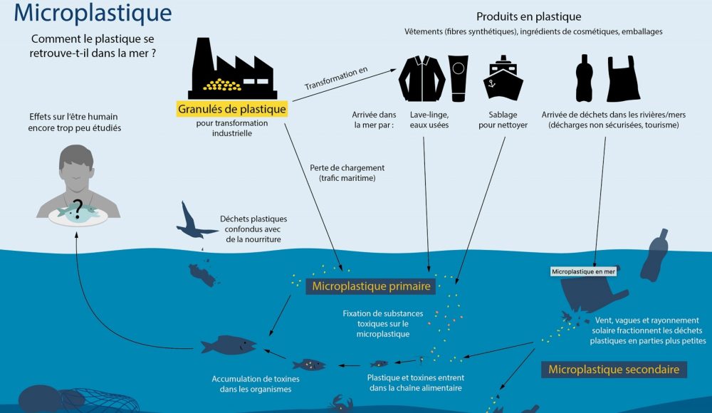 Pollution Des Fleuves Et Océans : Les Microplastiques - Le Blog D ...