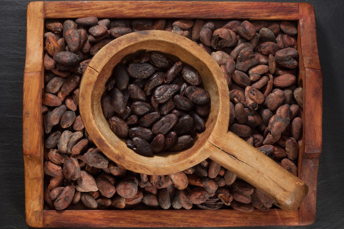 fève de cacao, la culture du cacao dans le monde. Alex Olivier et les Chocolats du coeur