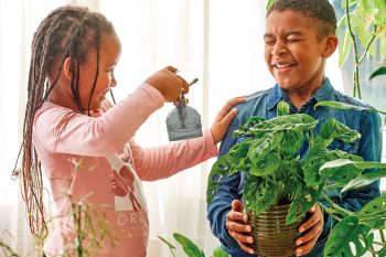 Entretenir ses plantes vertes. Initiatives fleurs et nature