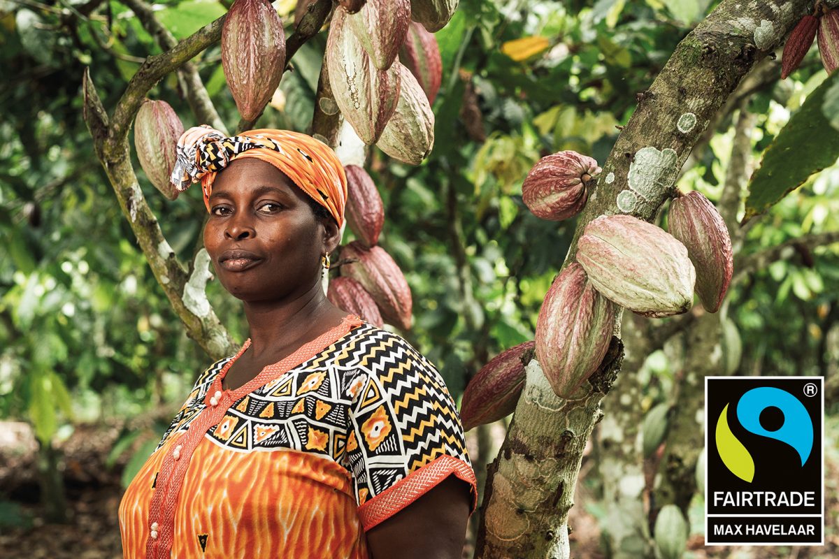 Composition du chocolat : c’est quoi l’huile de palme, ça veut dire quoi 100% pur beurre de cacao ?