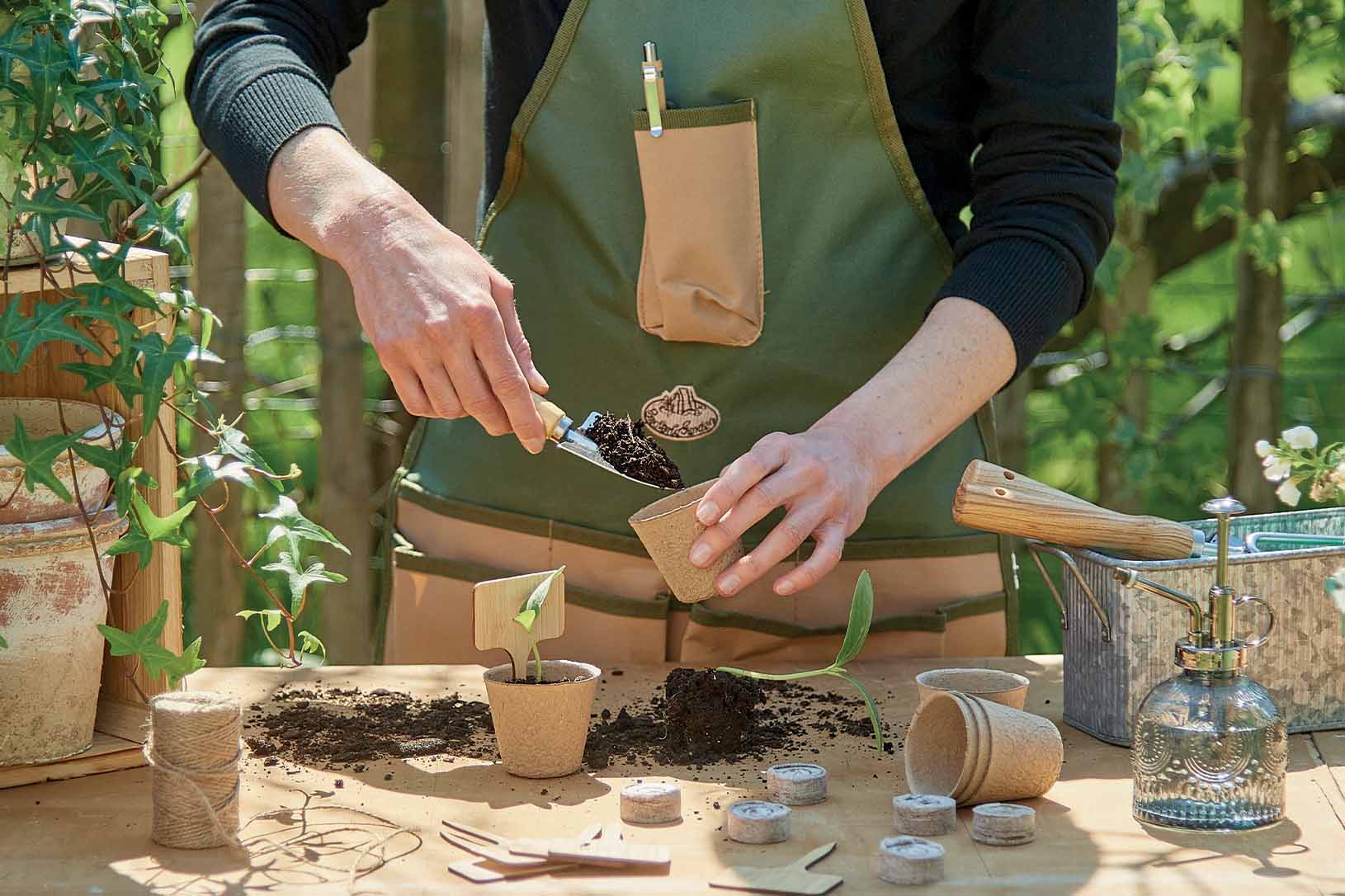 Comment semer les graines ? - Le blog d'Initiatives Fleurs & Nature