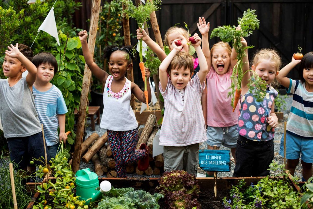 Un jardin à l’école ou au collège : pour apprendre les mains dans la terre