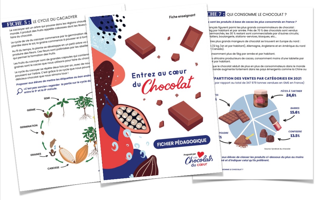 Le chocolat : un sujet pédagogique interdisciplinaire